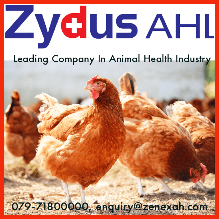 Zenex Animal Health | Welcome To The Poultry Times